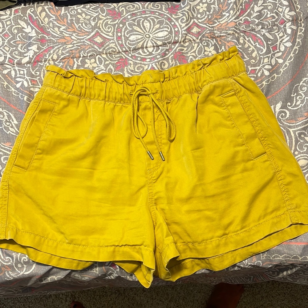 Loft shorts